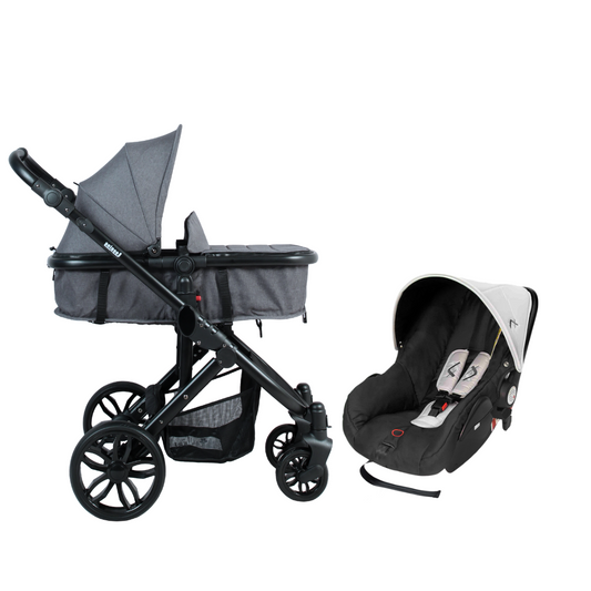 Sydney Travel System