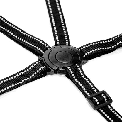 Squizz 3 Harness Strap